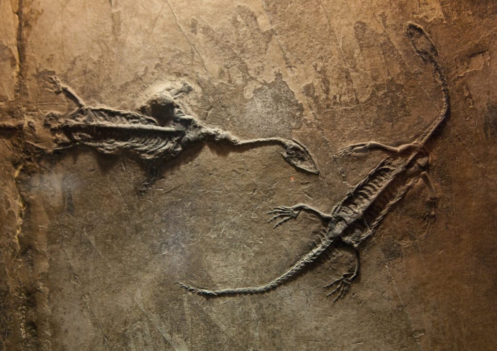 Dinozaurų pasaulis: senovės milžinai ir jų paslaptys